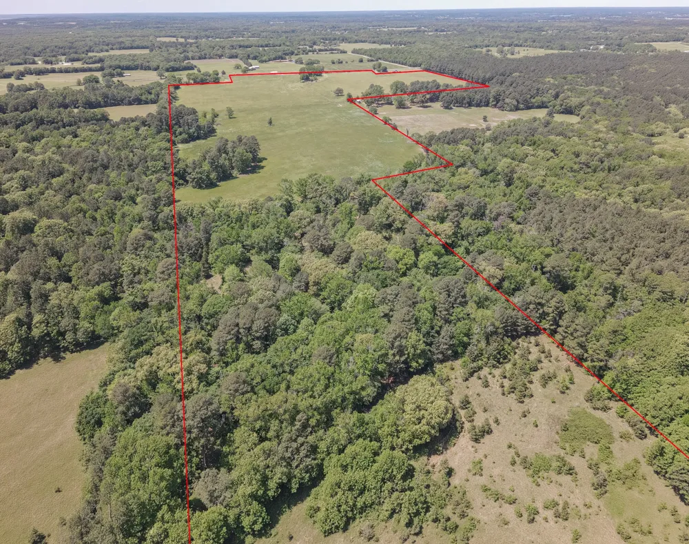 2852 FM 312 Winnsboro, TX 75494