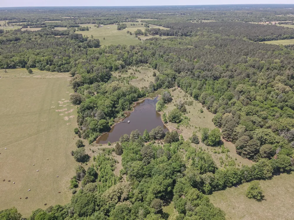 2852 FM 312 Winnsboro, TX 75494