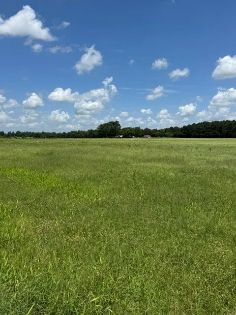 2852 FM 312 Winnsboro, TX 75494