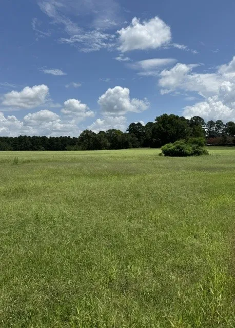 2852 FM 312 Winnsboro, TX 75494