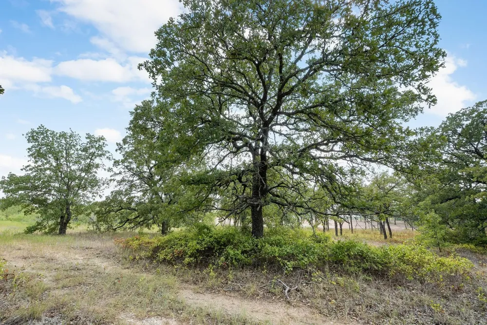 Double B Ranch Road S Perrin, TX 76486