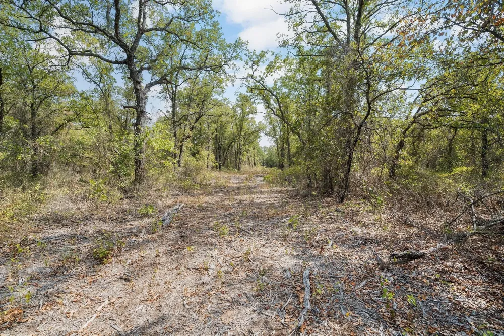 Double B Ranch Road S Perrin, TX 76486