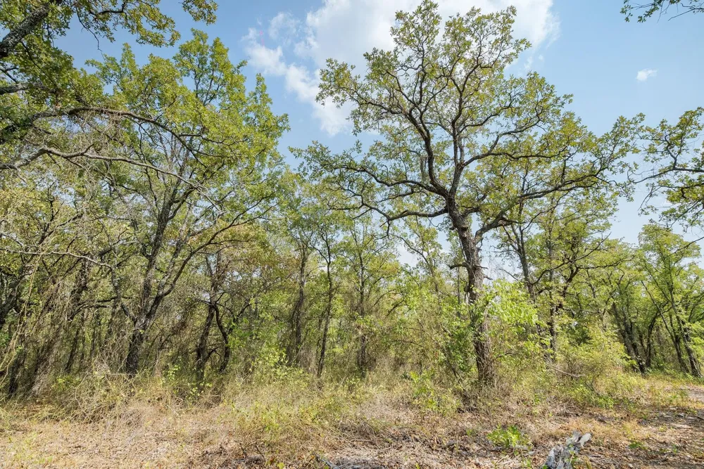 Double B Ranch Road S Perrin, TX 76486