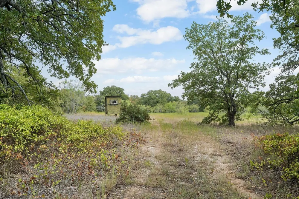 Double B Ranch Road S Perrin, TX 76486