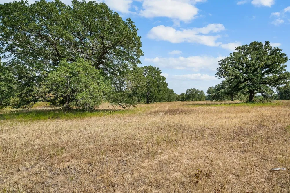 Double B Ranch Road S Perrin, TX 76486
