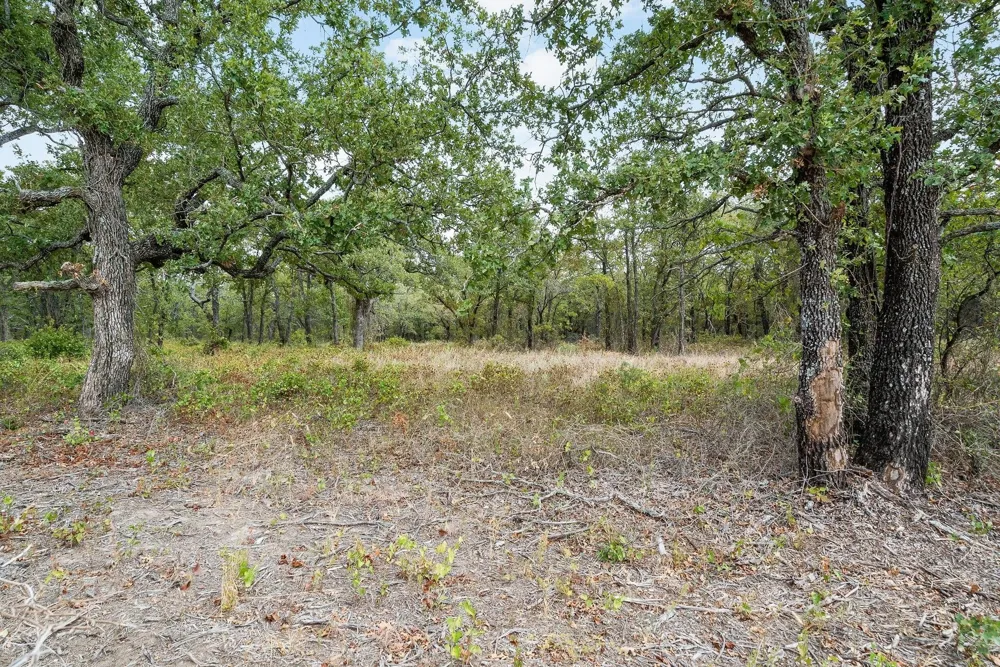Double B Ranch Road S Perrin, TX 76486
