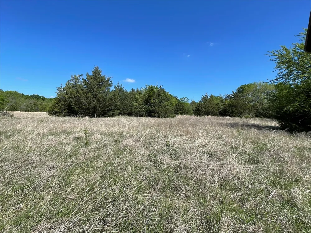 County Road 1400 Ravenna, TX 75476