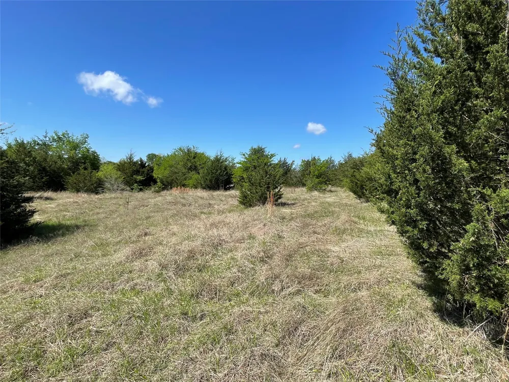 County Road 1400 Ravenna, TX 75476