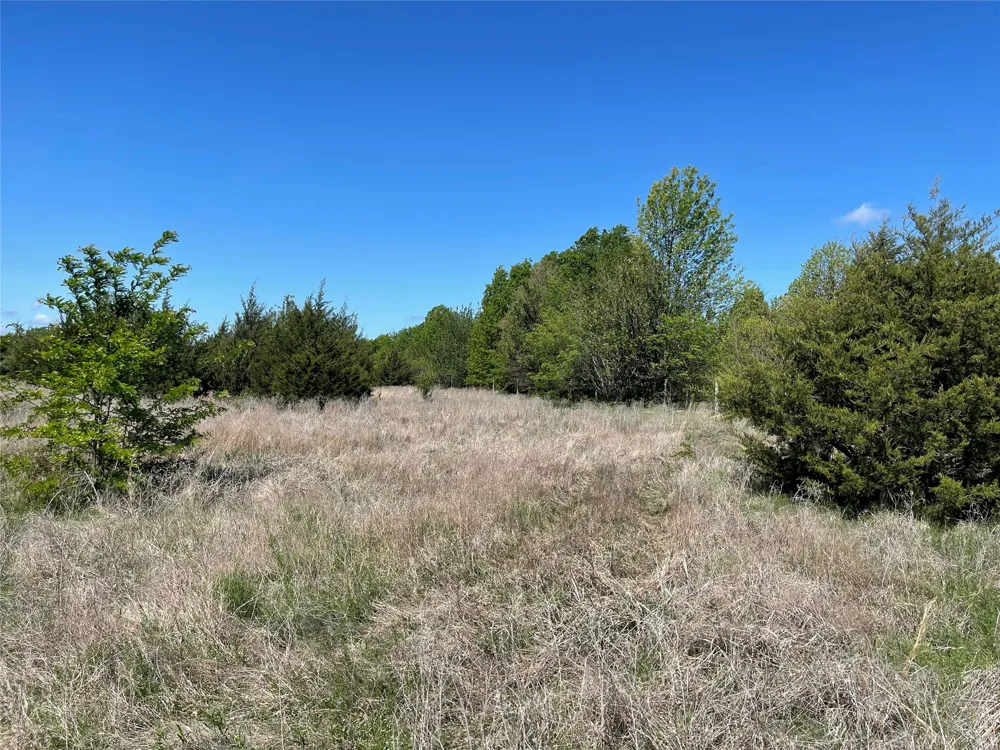 County Road 1400 Ravenna, TX 75476