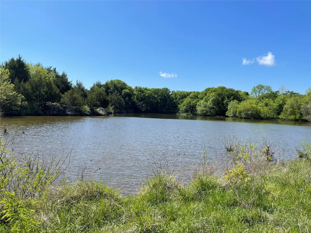County Road 1400 Ravenna, TX 75476