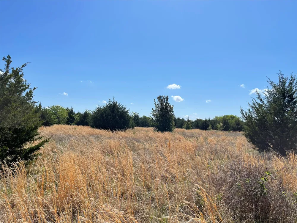County Road 1400 Ravenna, TX 75476