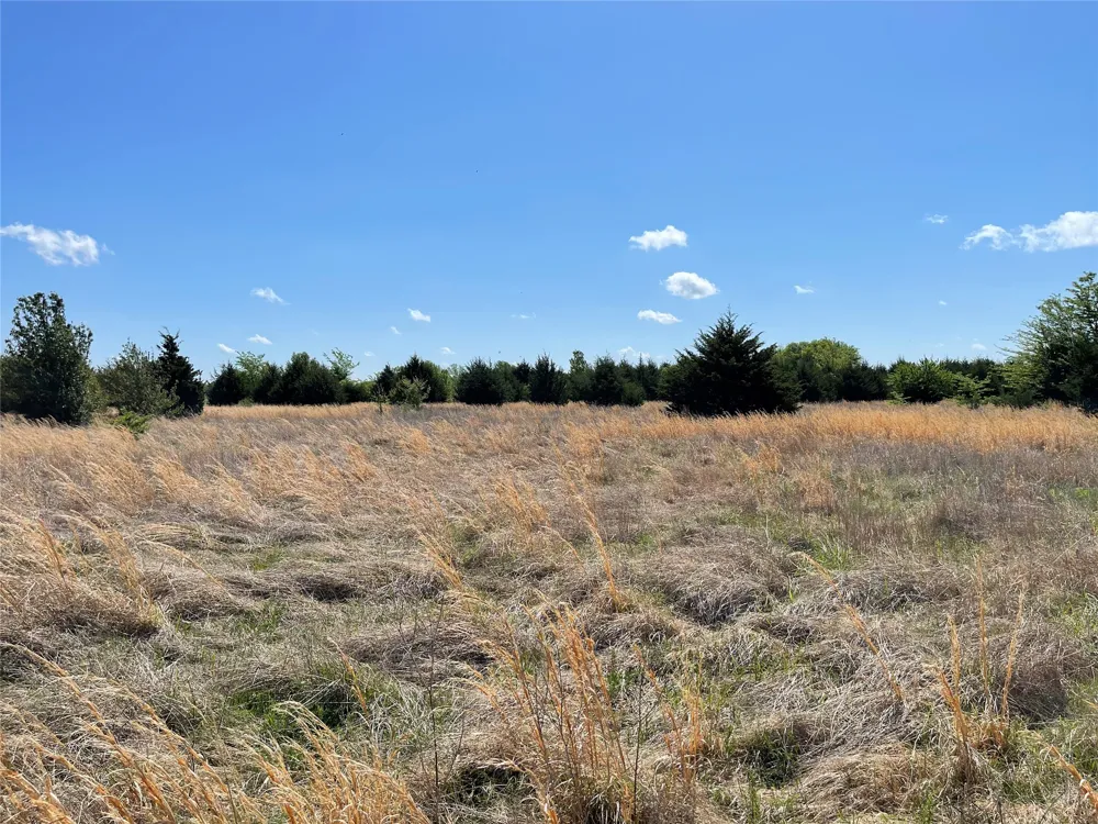 County Road 1400 Ravenna, TX 75476