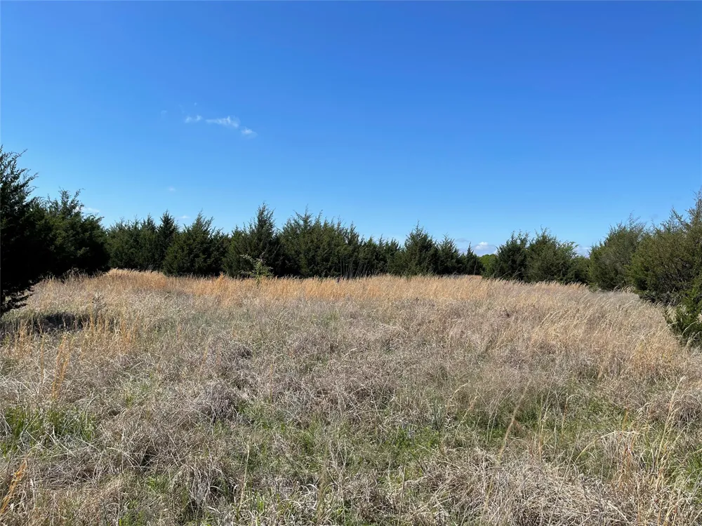 County Road 1400 Ravenna, TX 75476