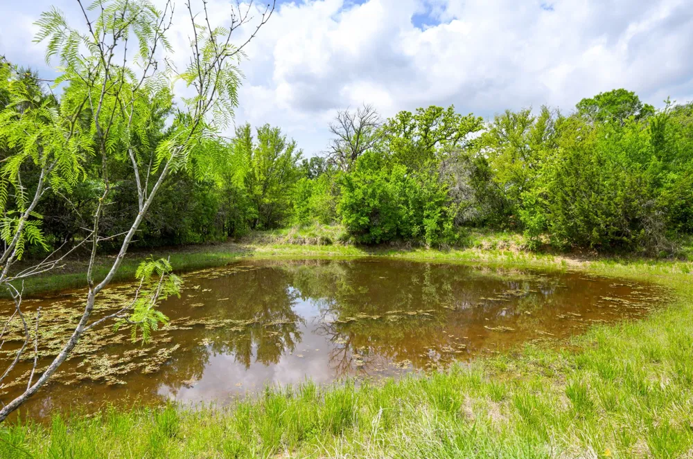 New Hope Road Palo Pinto, TX 76474