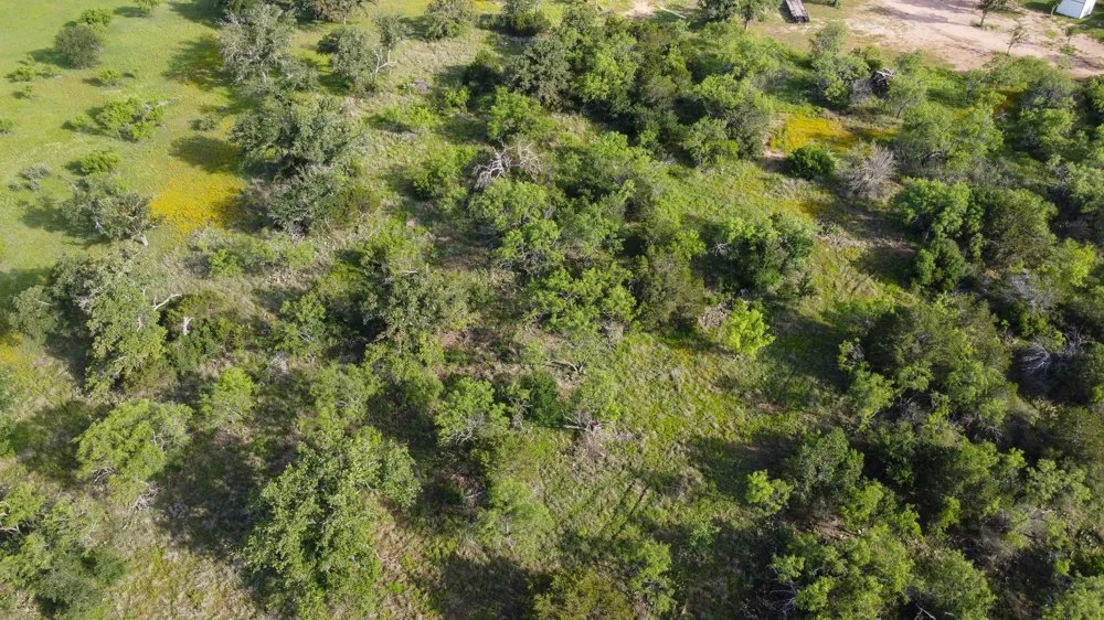 Oak Ridge Tr Kingsland, TX 78639