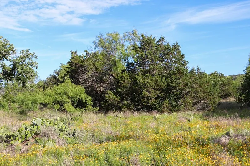 Oak Ridge Tr Kingsland, TX 78639