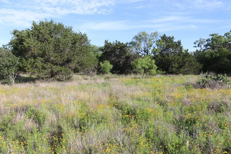 Oak Ridge Tr Kingsland, TX 78639
