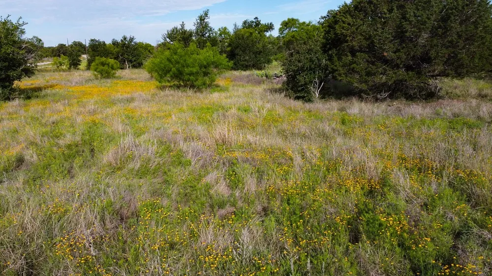 Oak Ridge Tr Kingsland, TX 78639