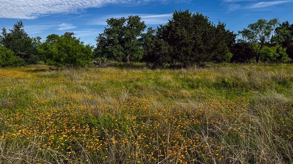 Oak Ridge Tr Kingsland, TX 78639