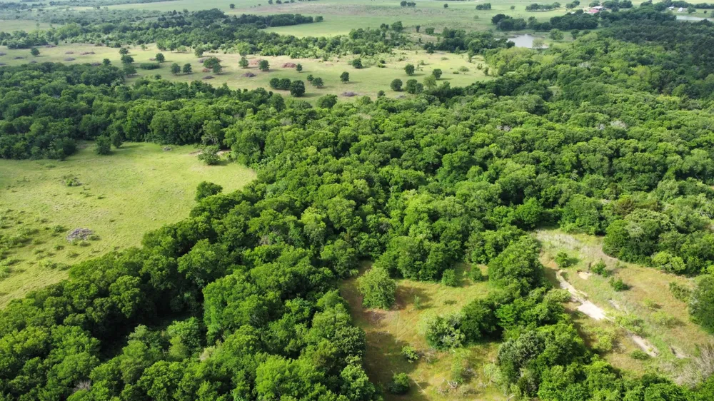 HCR 3352 Hubbard, TX 76648