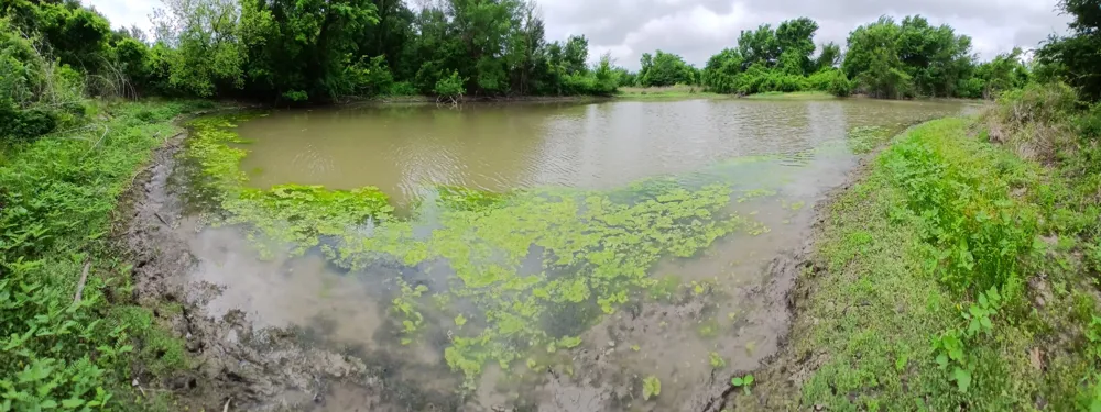HCR 3352 Hubbard, TX 76648