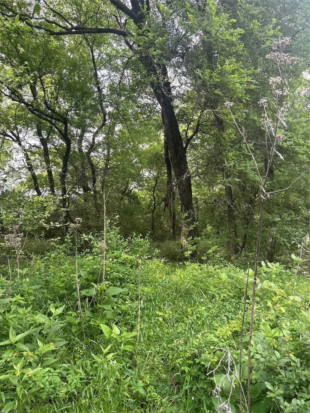HCR 3352 Hubbard, TX 76648