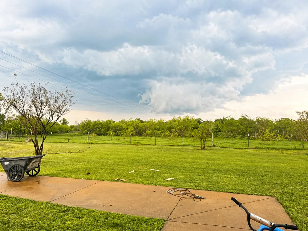 6960 FM 937 Thornton, TX 76687