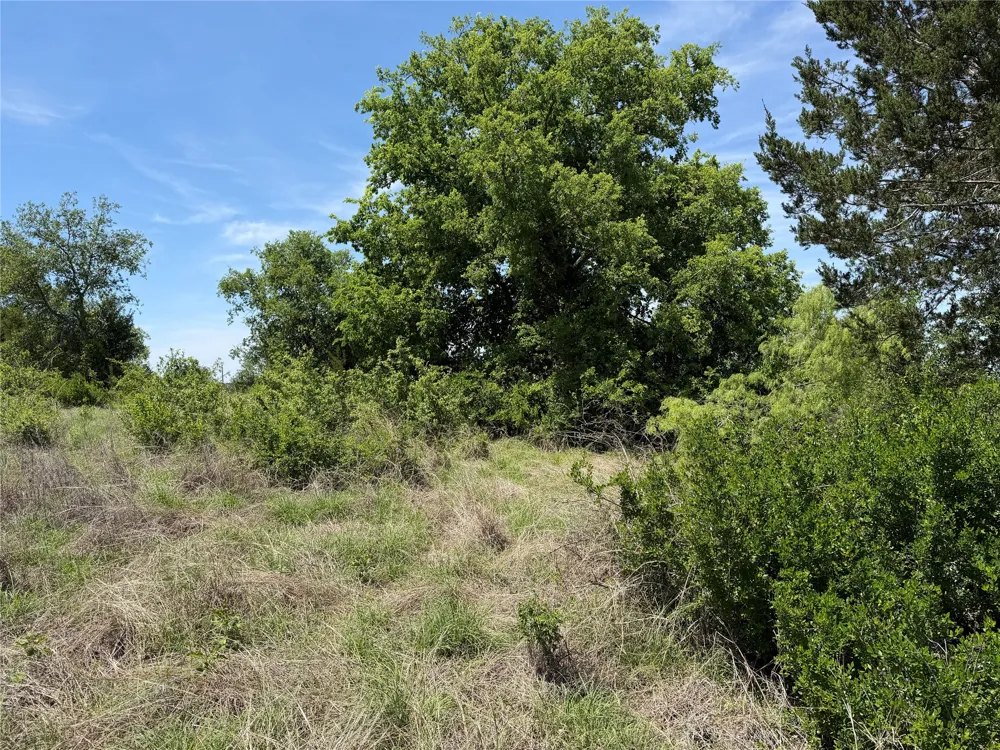 PR 3033 Hamilton, TX 76531
