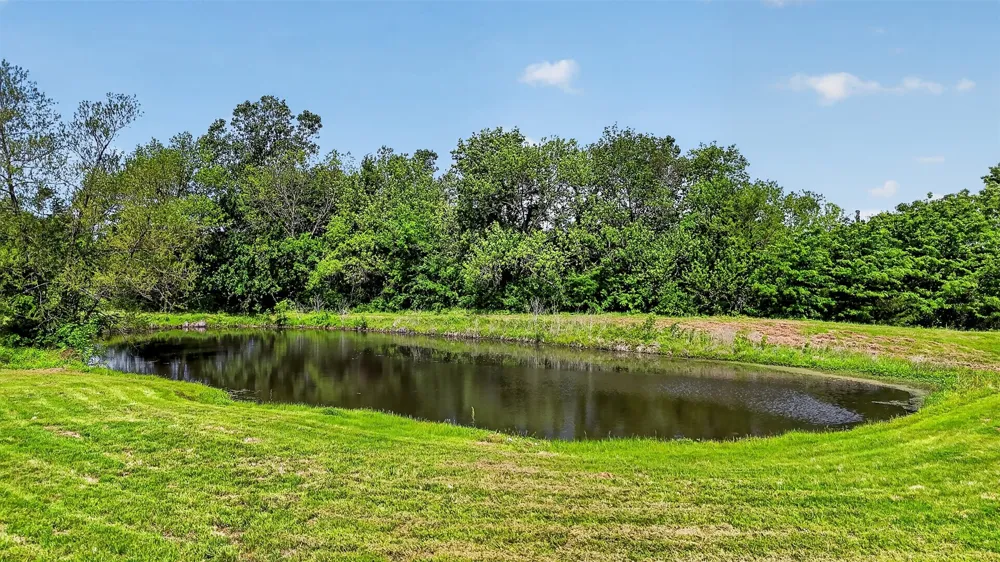 Pecan Street Ector, TX 75439
