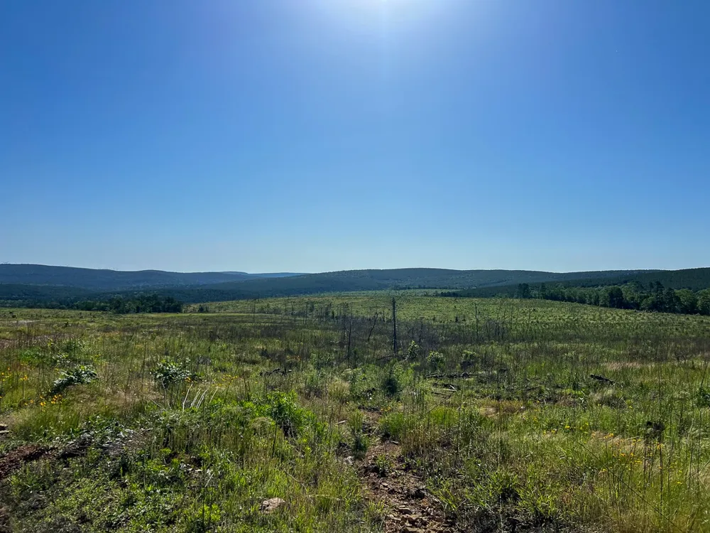 D4289 Road Antlers, OK 74536