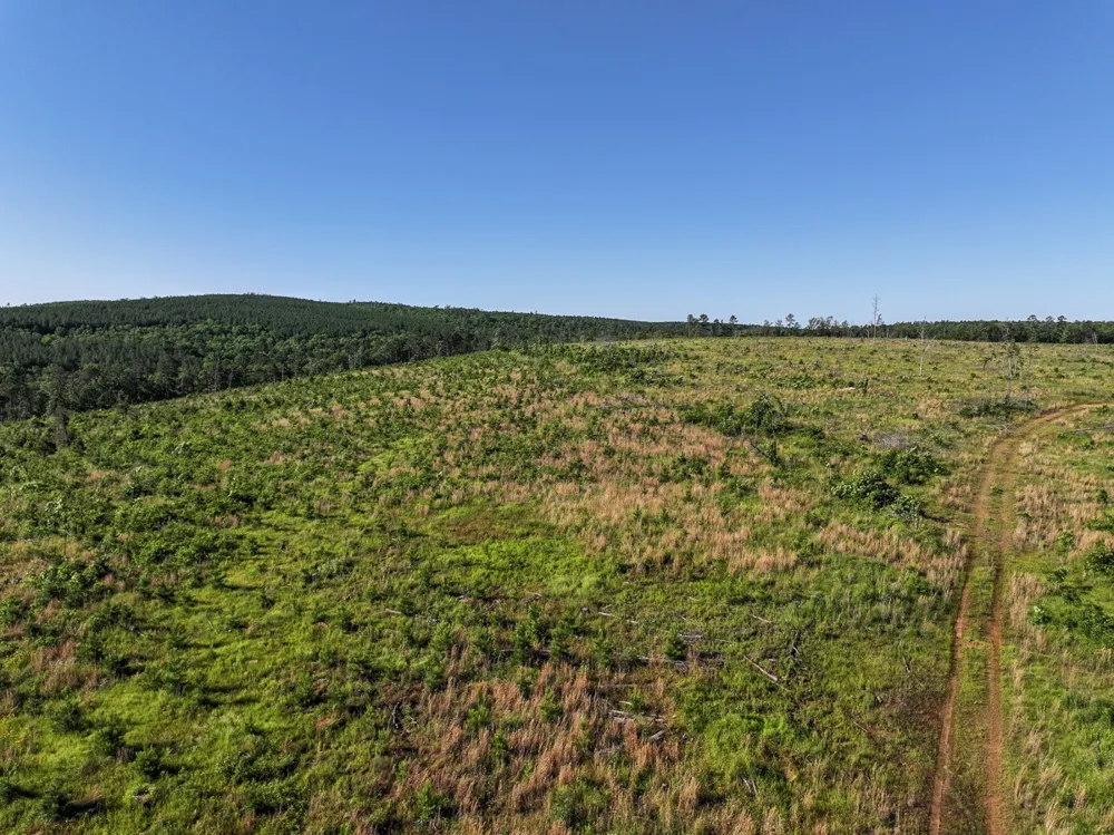 D4289 Road Antlers, OK 74536