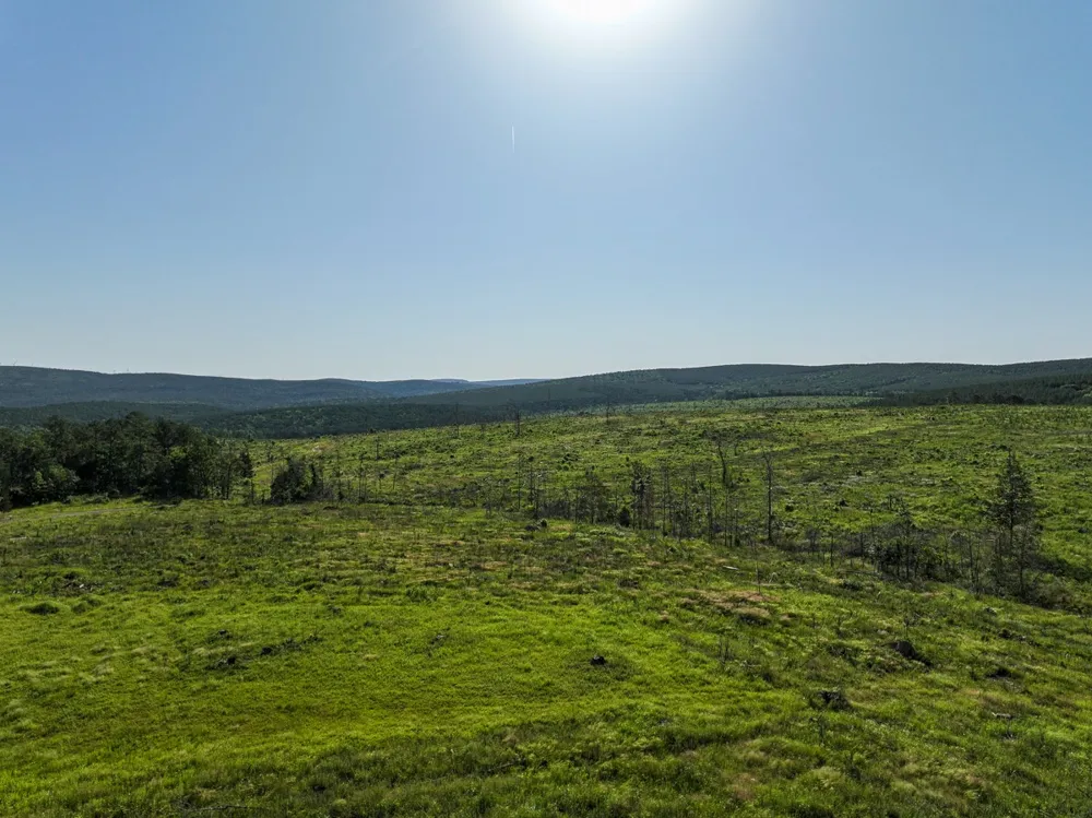 D4289 Road Antlers, OK 74536