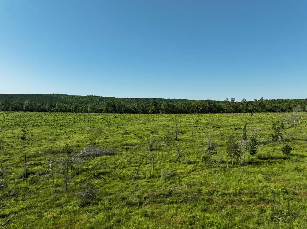 D4289 Road Antlers, OK 74536