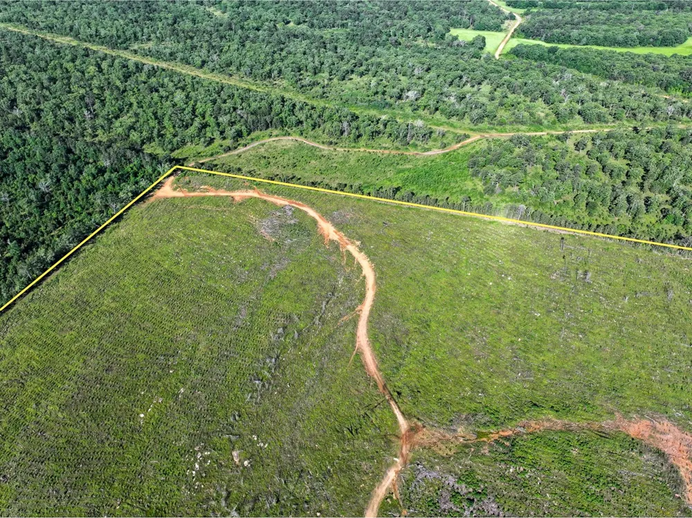 D4289 Road Antlers, OK 74536