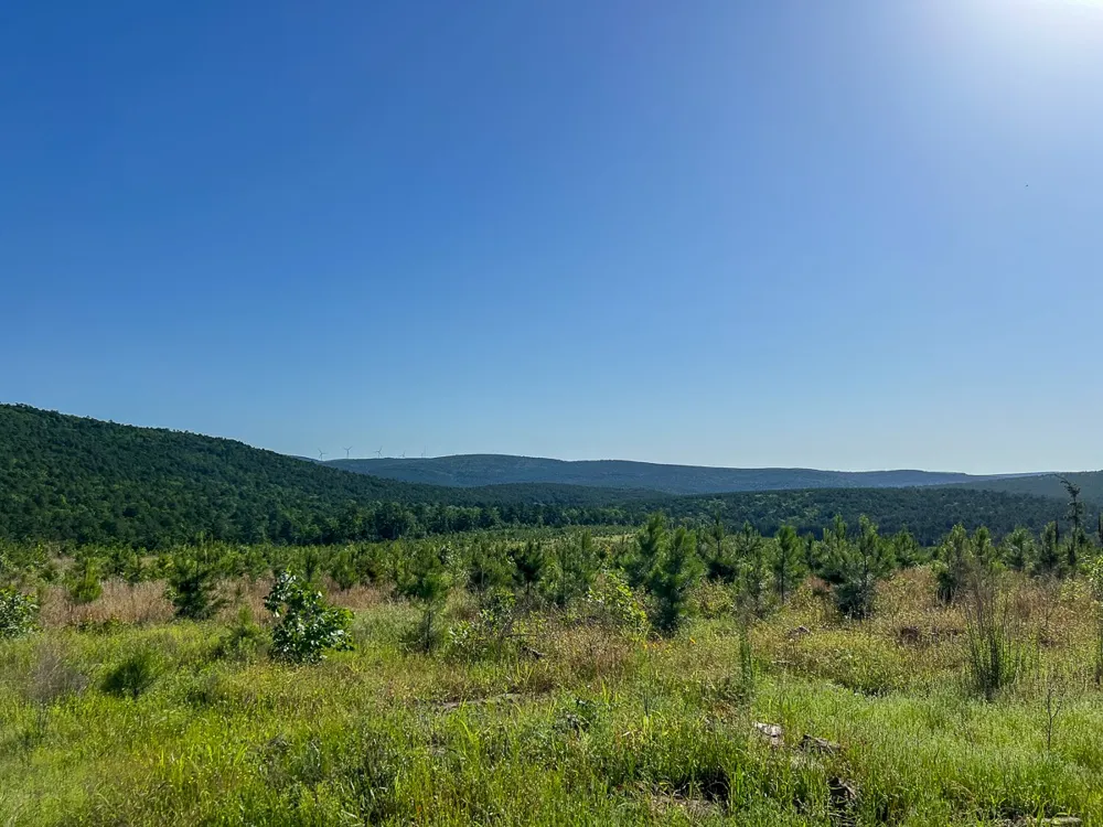 D4289 Road Antlers, OK 74536