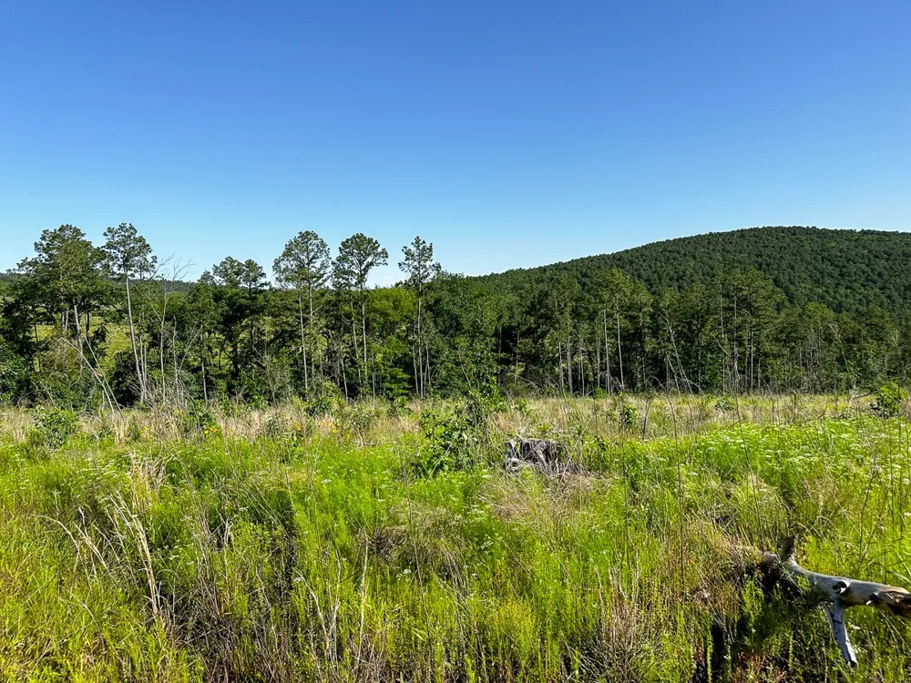 D4289 Road Antlers, OK 74536