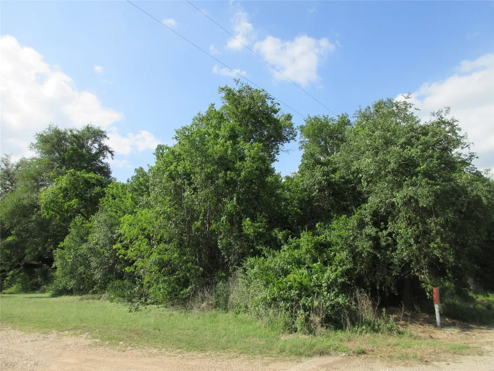 CR 106 Marlin, TX 76661