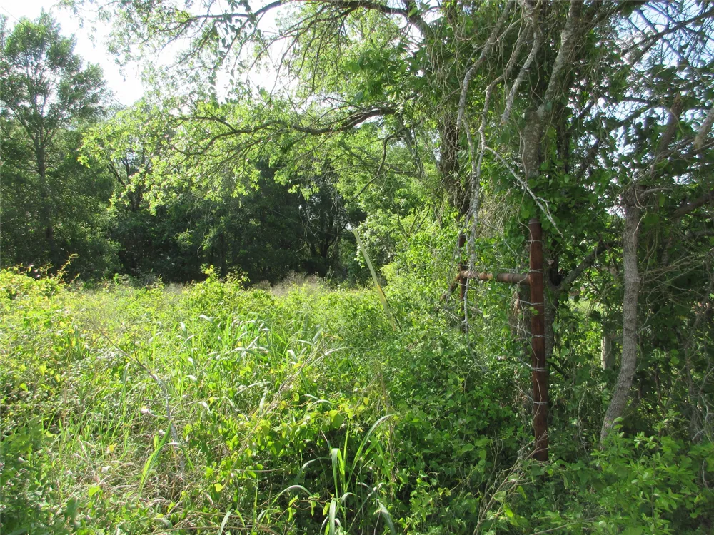 CR 106 Marlin, TX 76661