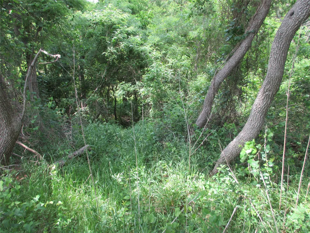 CR 106 Marlin, TX 76661