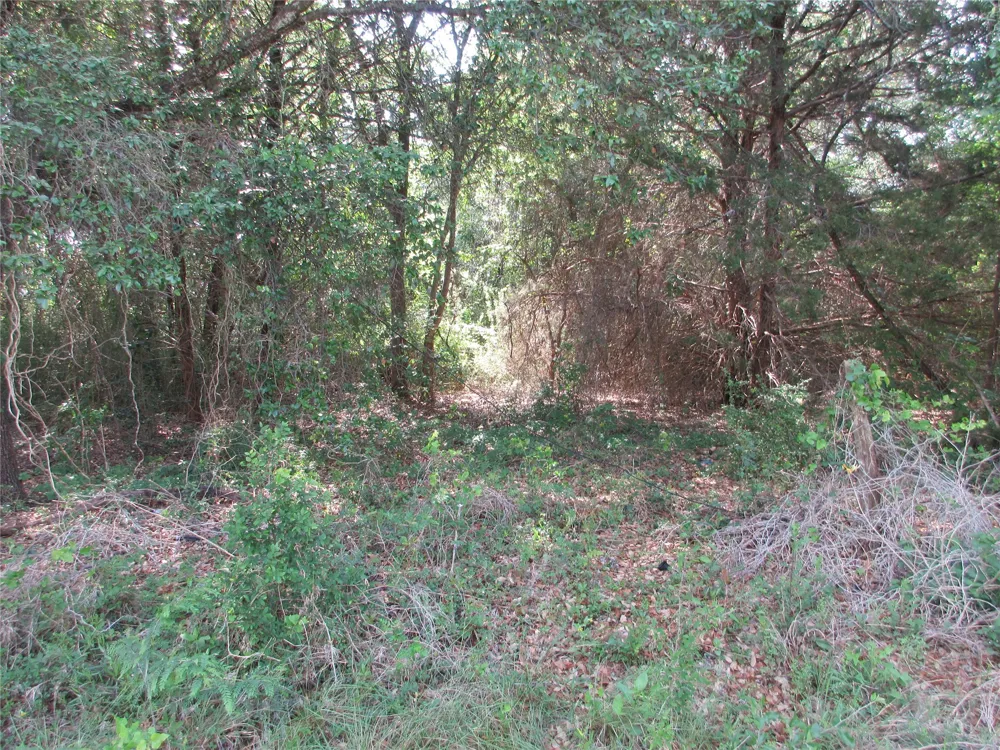 CR 106 Marlin, TX 76661