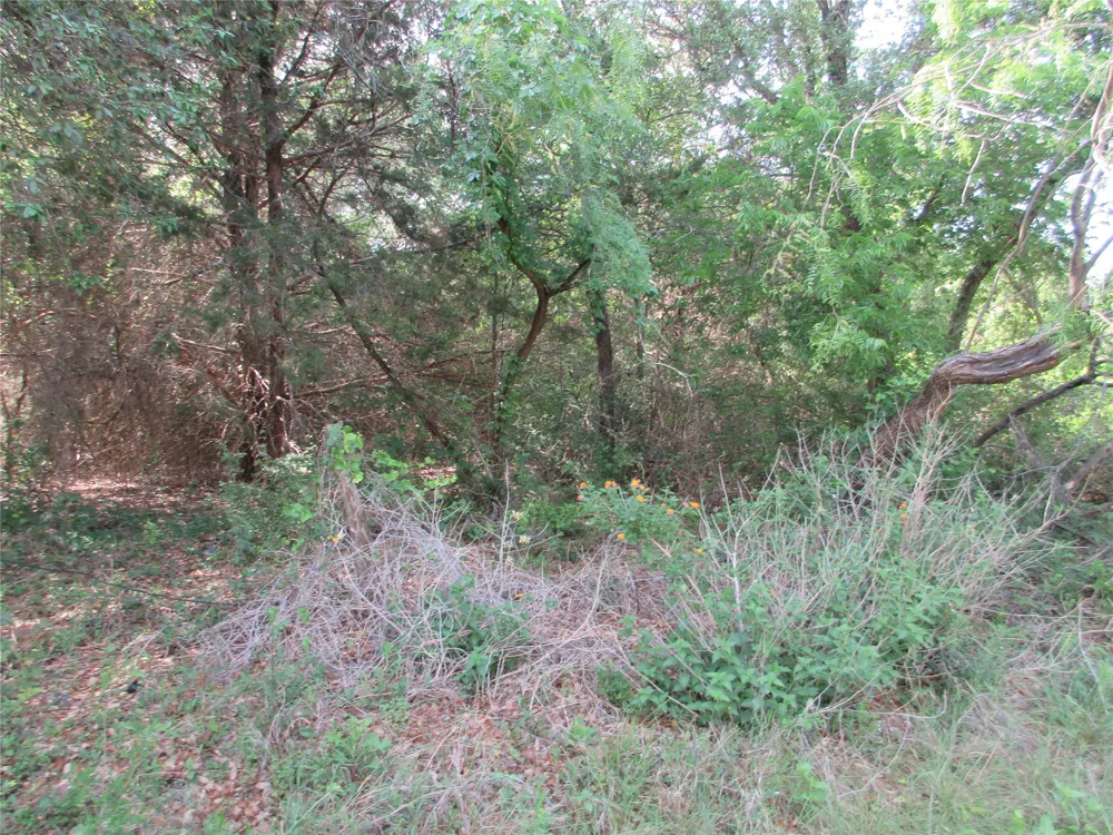 CR 106 Marlin, TX 76661