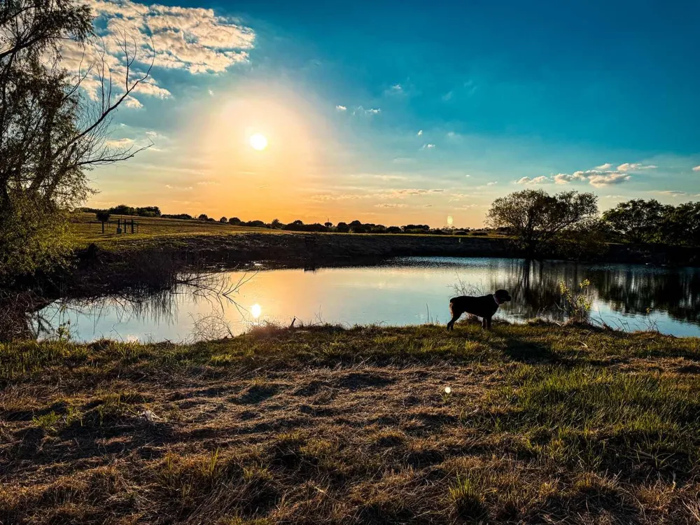601 County Road 60 Gatesville, TX 76528