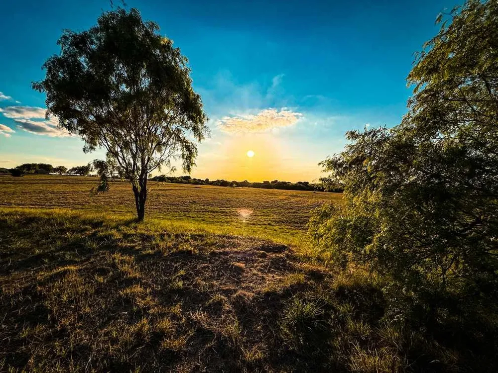 601 County Road 60 Gatesville, TX 76528