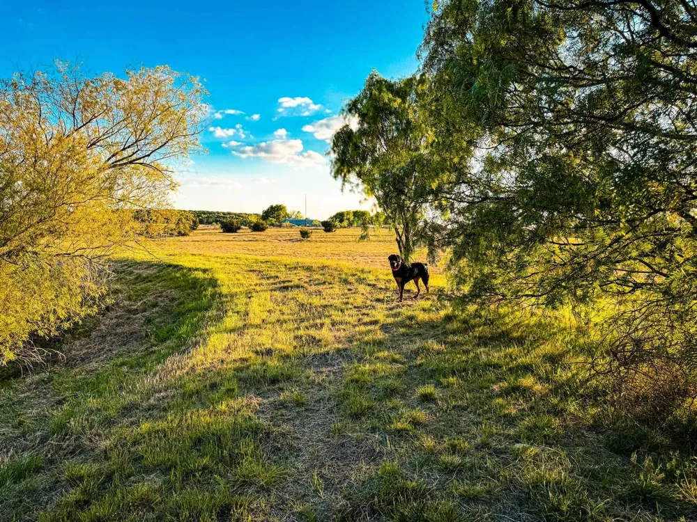 601 County Road 60 Gatesville, TX 76528