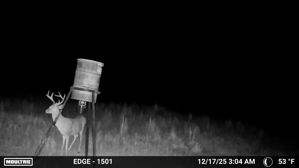 7215 Highway 569 Cisco, TX 76437