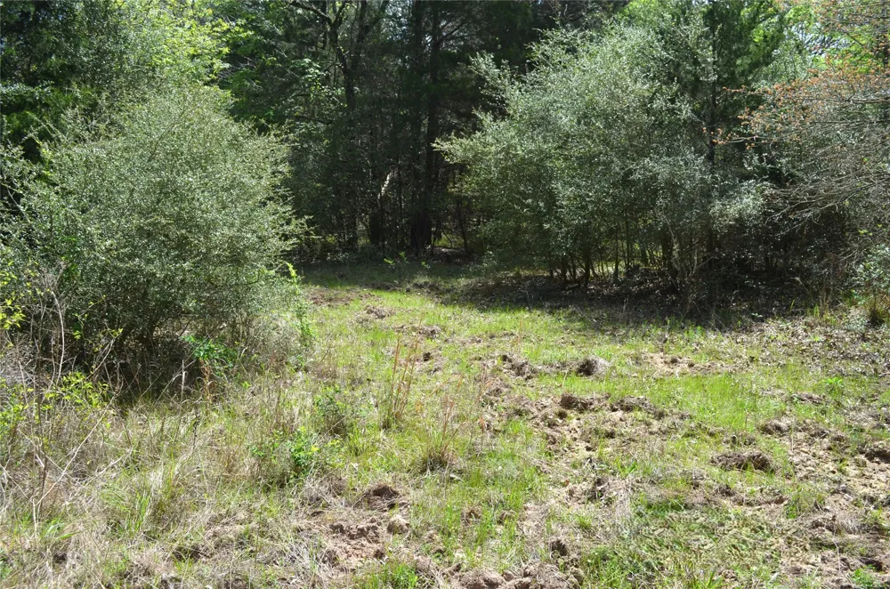 977 E Leona, TX 75850
