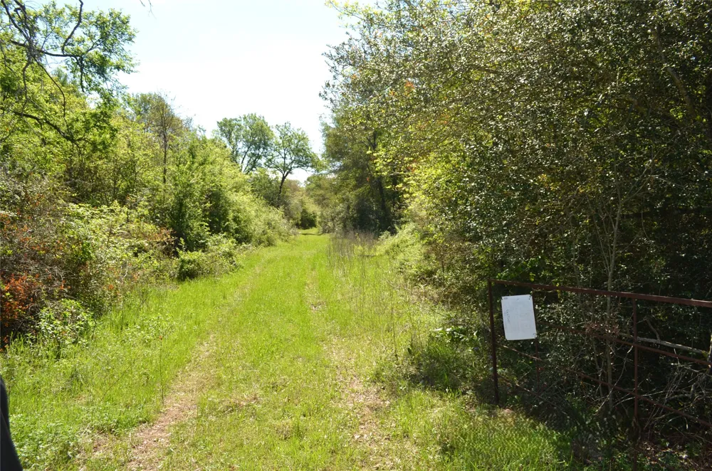 977 E Leona, TX 75850
