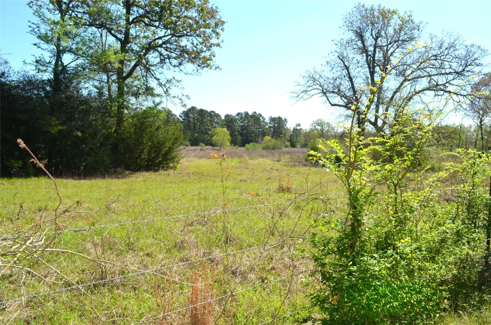 977 E Leona, TX 75850