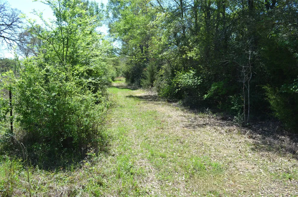 977 E Leona, TX 75850