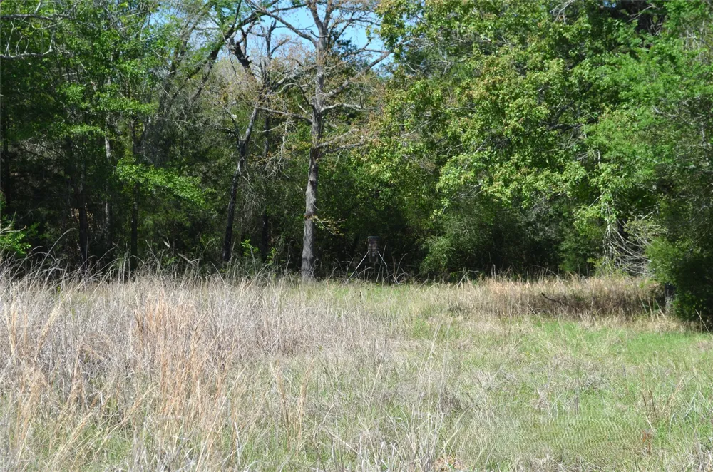 977 E Leona, TX 75850